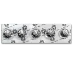 2017 1 oz .999 Silver African Leopard Republic of Ghana 100 Cedi (Error Coin) — Set thumbnail