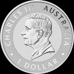 1 oz Kangaroo Silver Coin 2026 — Obverse thumbnail